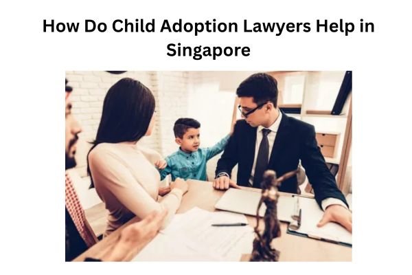How Do Child Adoption Lawyers Help in Singapore